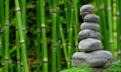 zen-2040340_960_720 zen-2040340_960_720